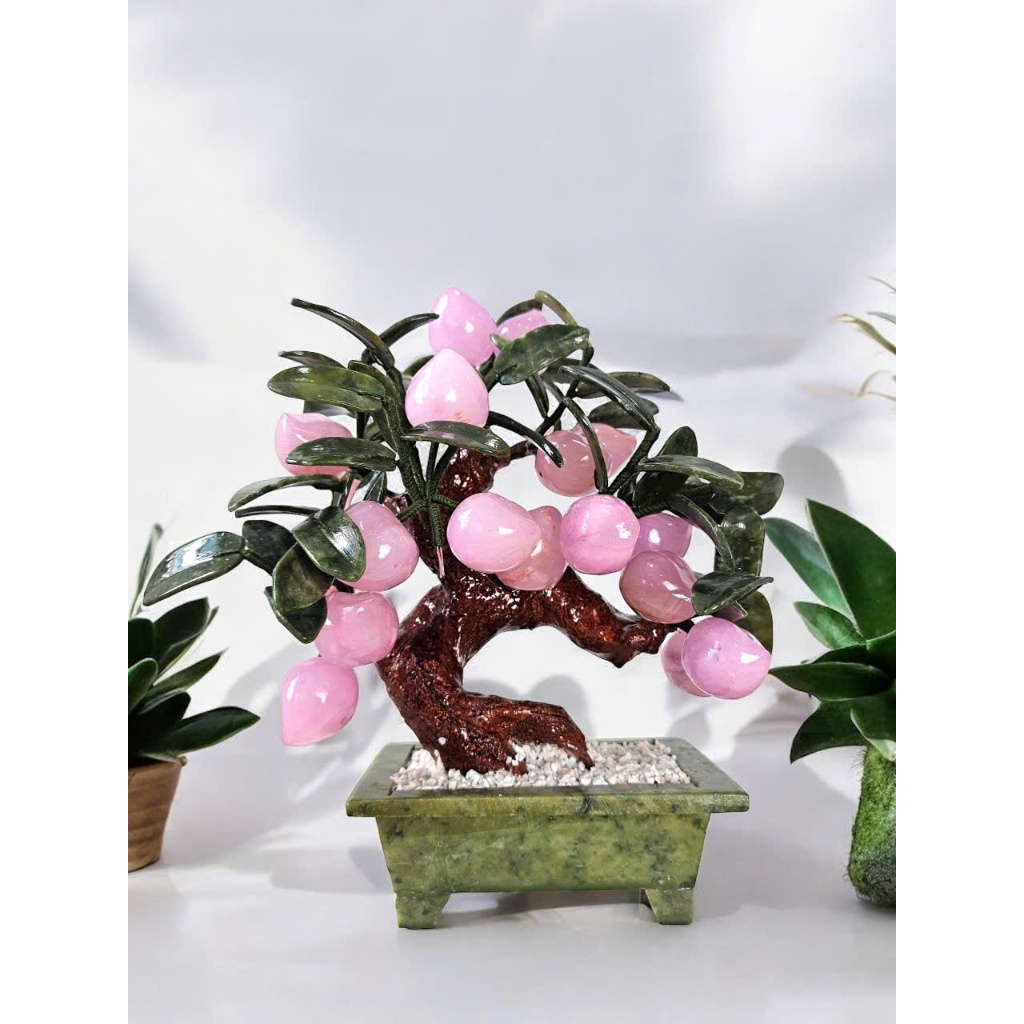 vn-11134207-7r98o-lzhihft1aoul56