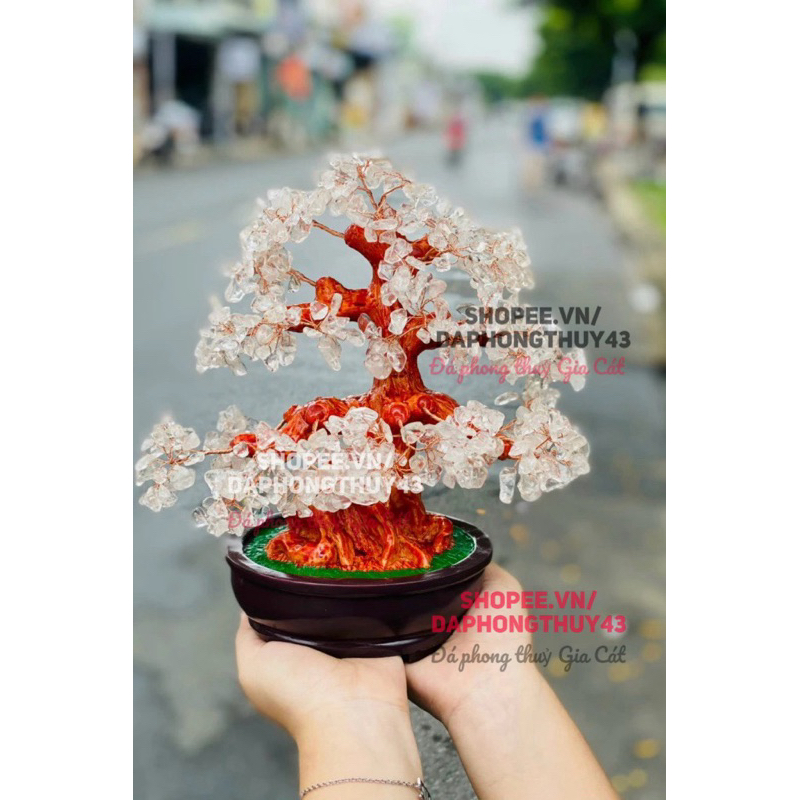 vn-11134207-7r98o-m0agk2z16snj7f