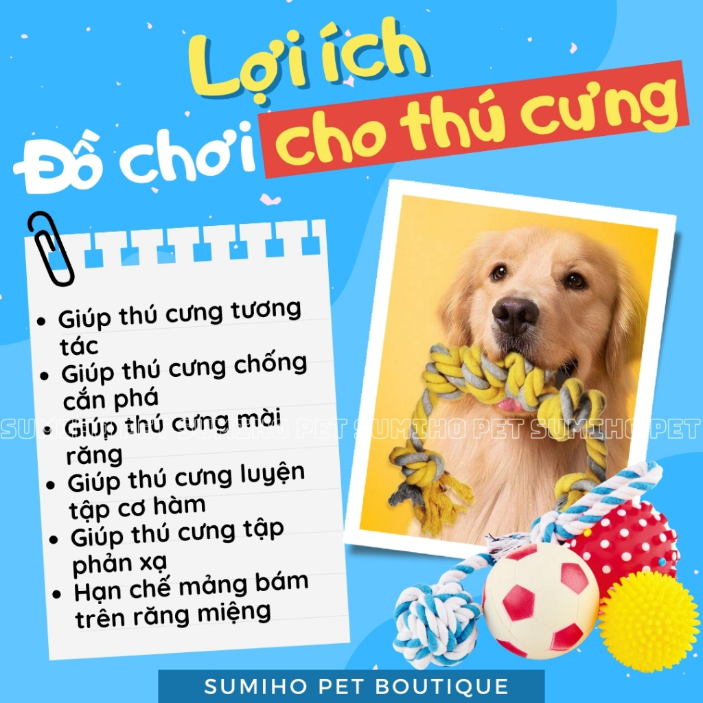 vn-11134207-7r98o-lwpb4ff74au118