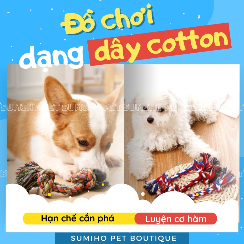 vn-11134207-7r98o-lwpb4ff7jqvv1e