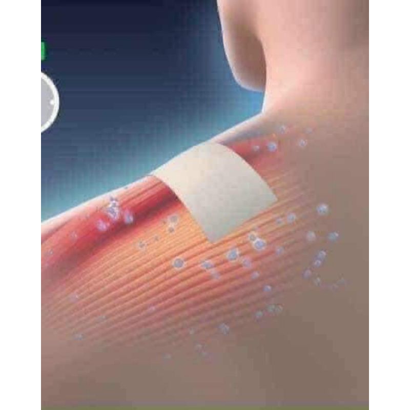 vn-11134207-7r98o-lxf9pz2mkau3a8