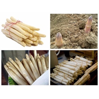 vn-11134207-7r98o-lqafj6f01s5u33