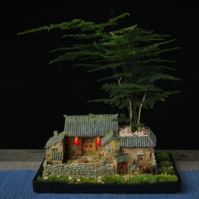 my-11134201-23030-4muns5zf9cove8