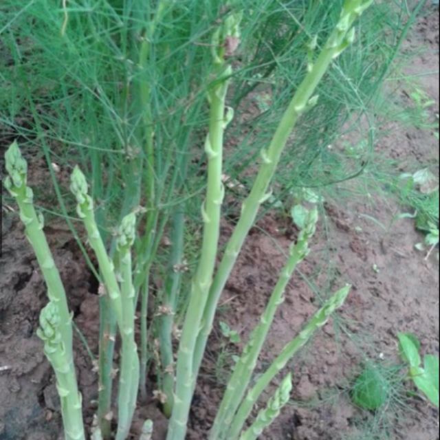 1762ab3f70a9a562bc09a373279aa00c