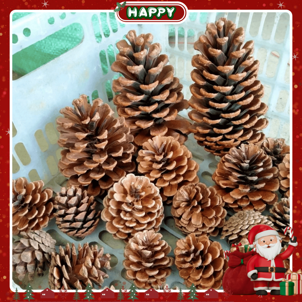 vn-11134207-820l4-mg51q1zp4mizc9