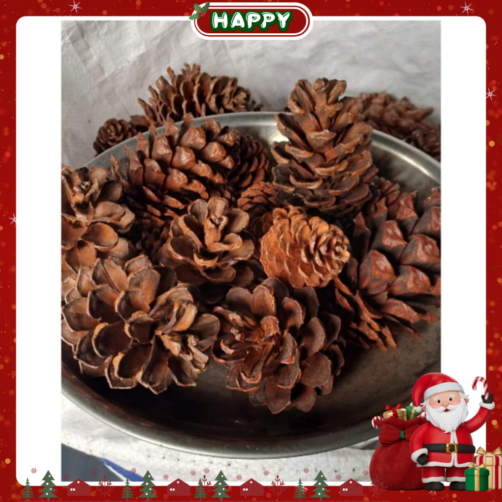 vn-11134207-820l4-mg51ojskpp8p69