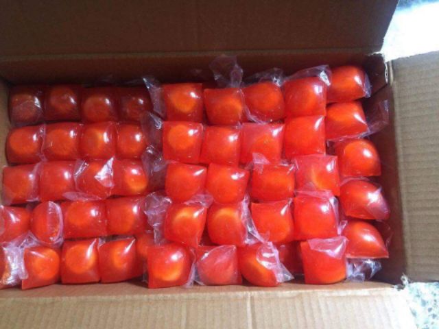 167515048e4d981a3afbb517e97c4357