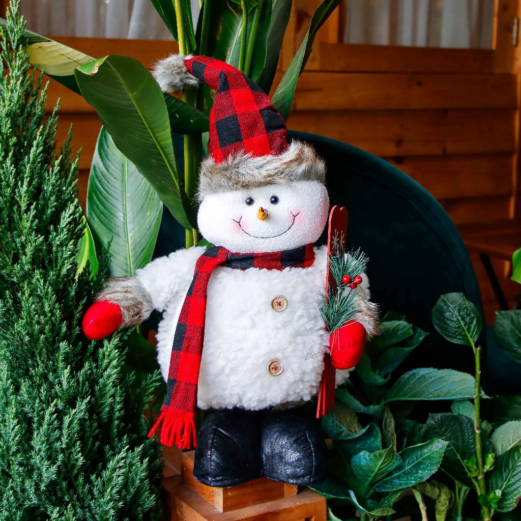 vn-11134207-7ras8-m1o2byvt01q79d