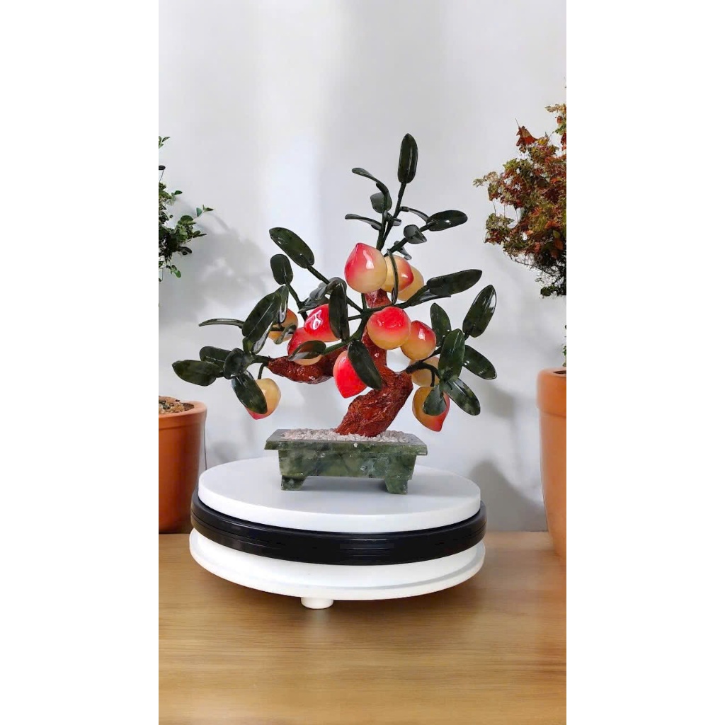 vn-11134207-7r98o-lzhihf06gx1p83