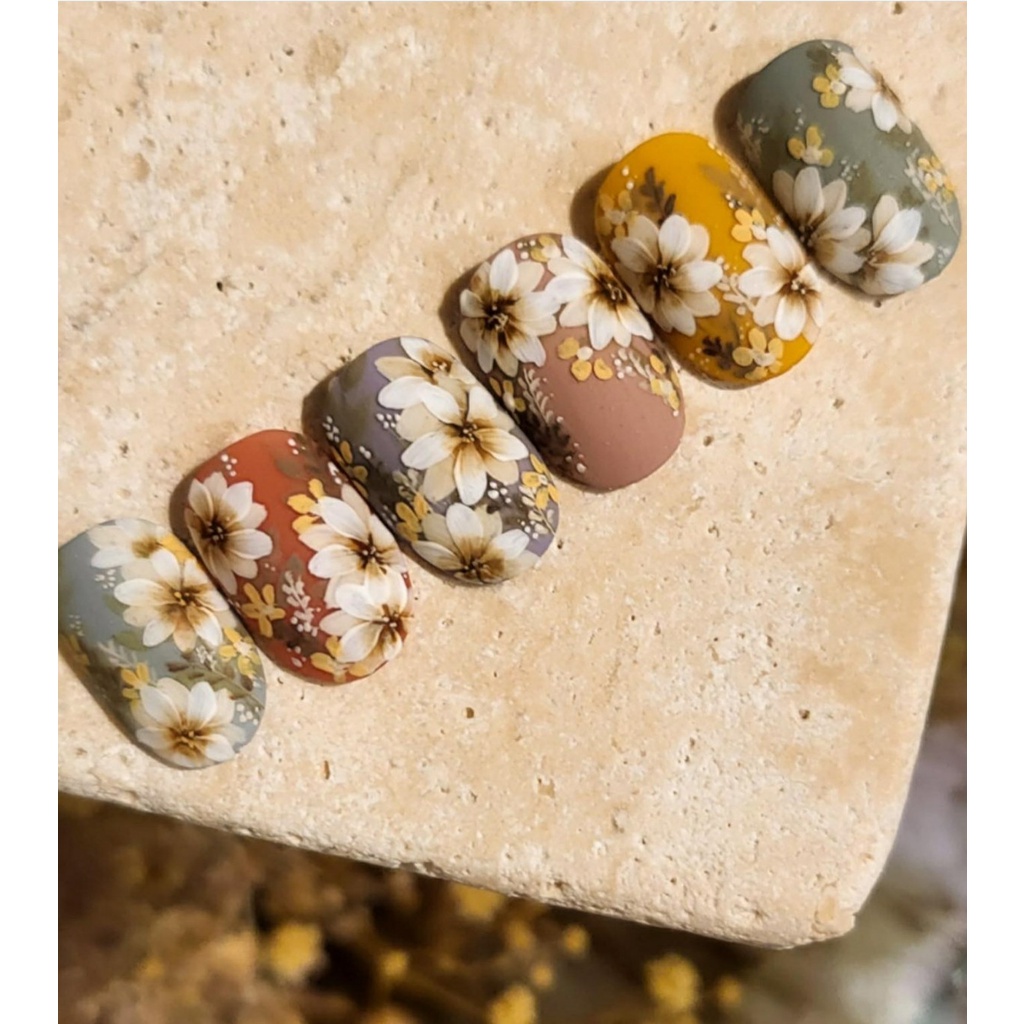 67037572de8c5d452f4f6c3b26d96f78