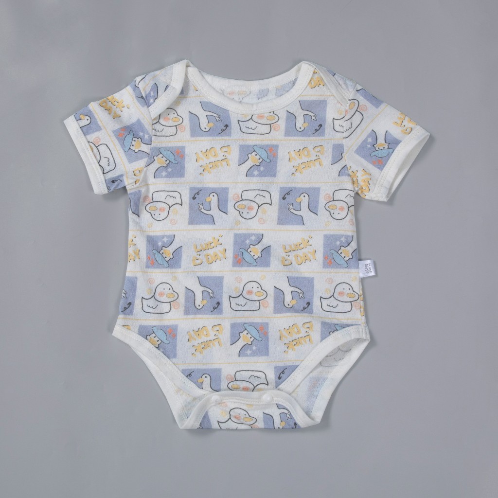 vn-11134207-7r98o-lsee9a8nn8as0b