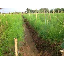 189b4f77cb328cc52d9231754c231727