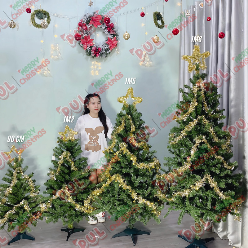 vn-11134207-7ras8-m1njjy72sn272a