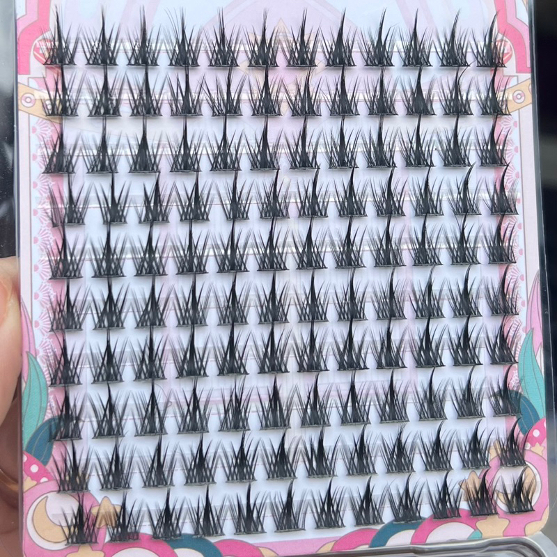 vn-11134207-7r98o-lnnvi2yfv56509