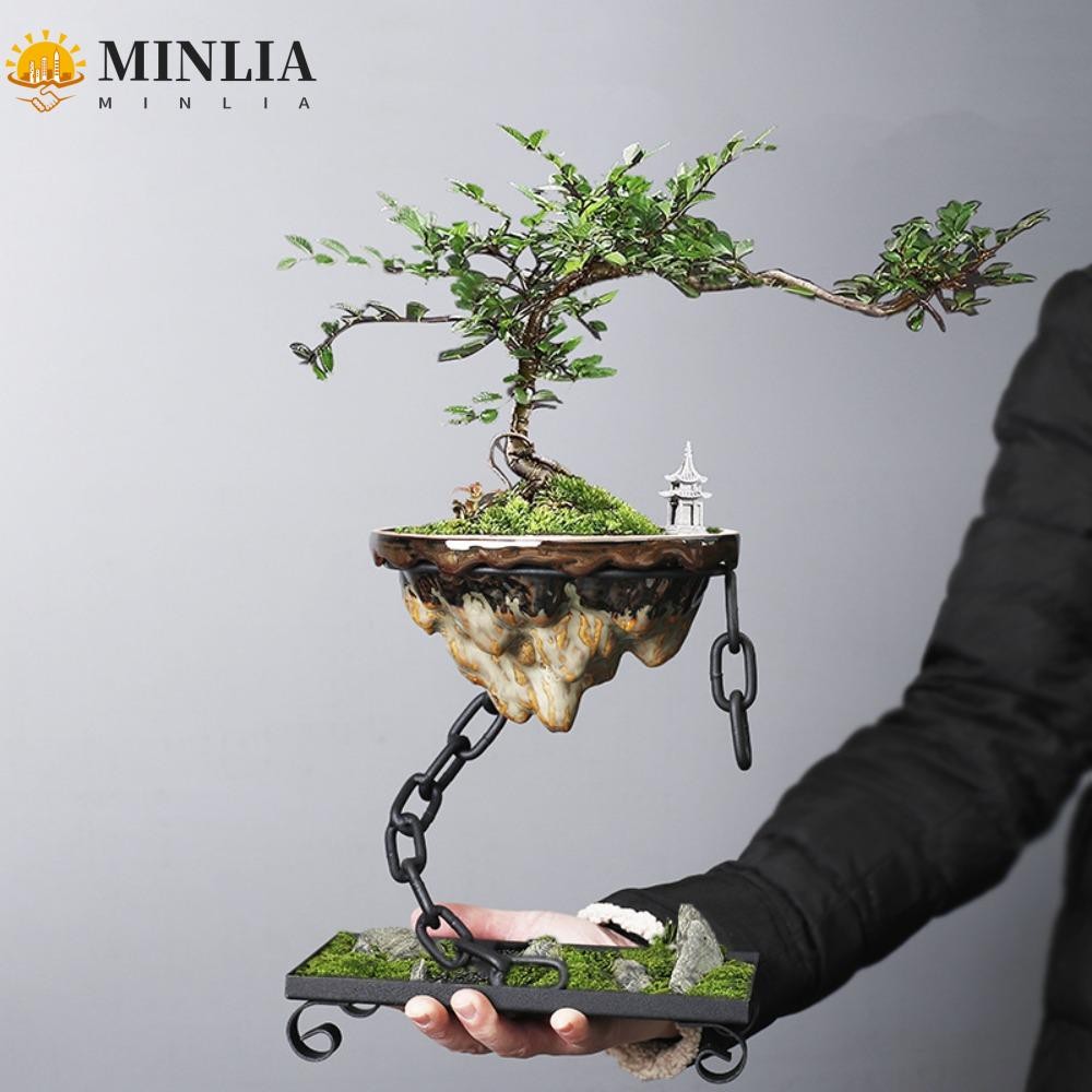 Minlia Minlia bonsai pots, modern fashion plants, iron and hanging iron pots against Rockery to decorate bonsai