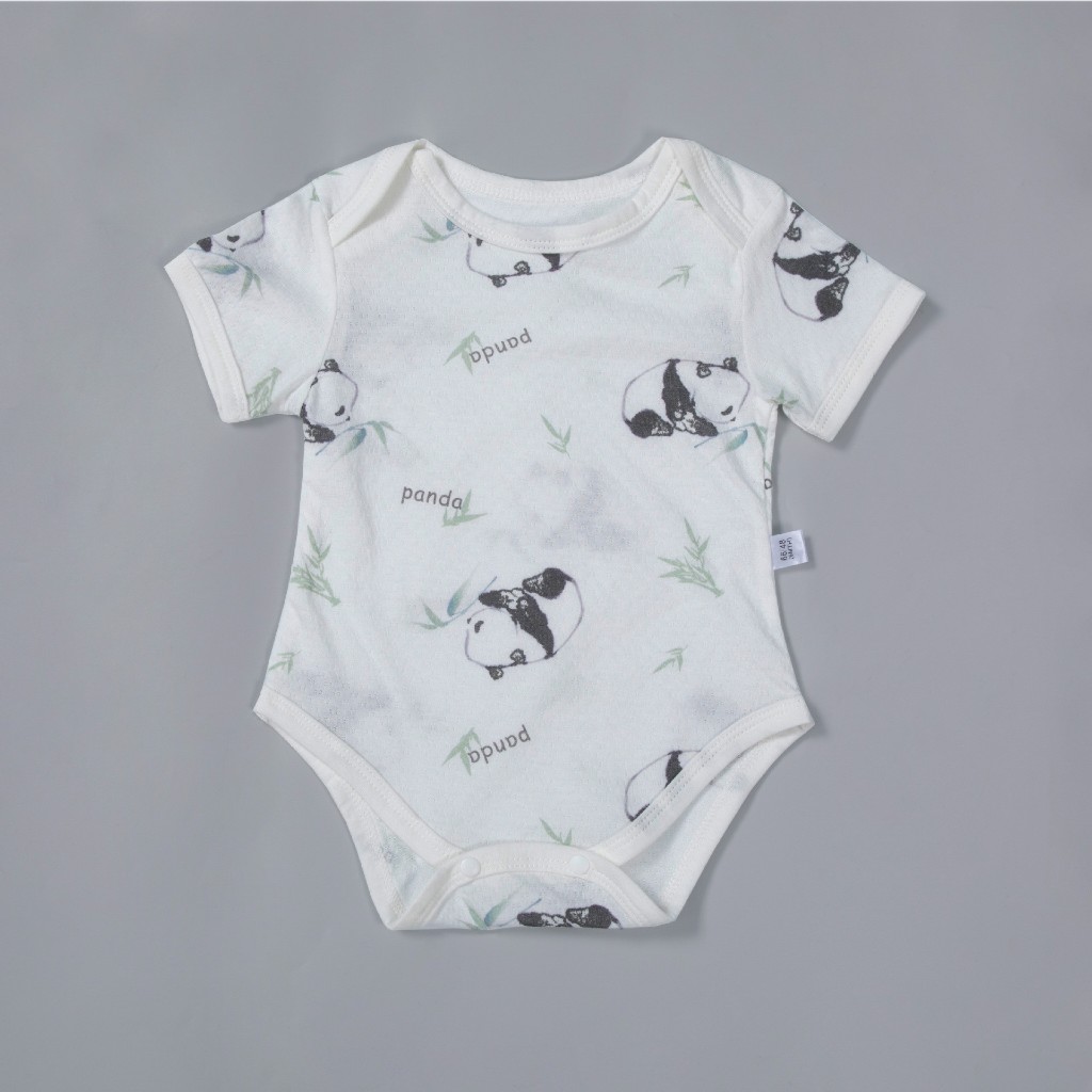 vn-11134207-7r98o-lsee9a8o2ojofc