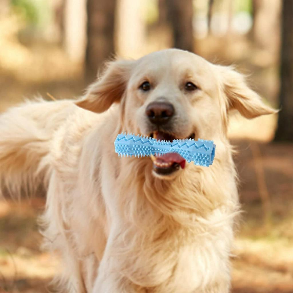 2c7f2c1c9f37c00c2cc8c8e1ce3620f8