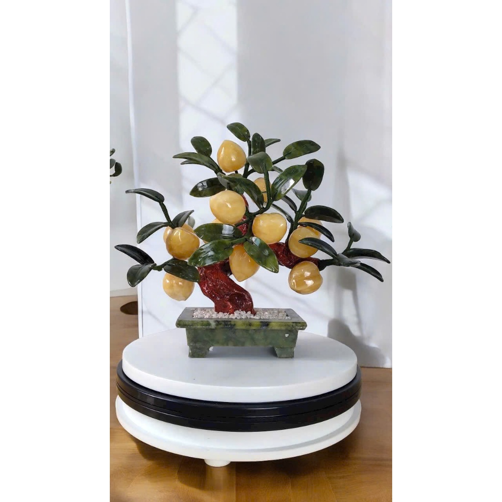 vn-11134207-7r98o-lzhihf4wbfdt1f