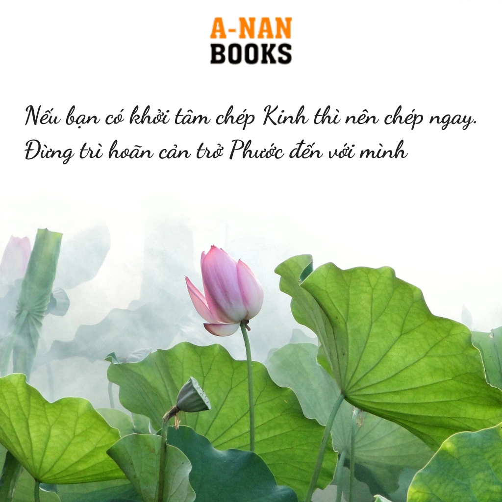 vn-11134207-7r98o-lorq9pud5bt799