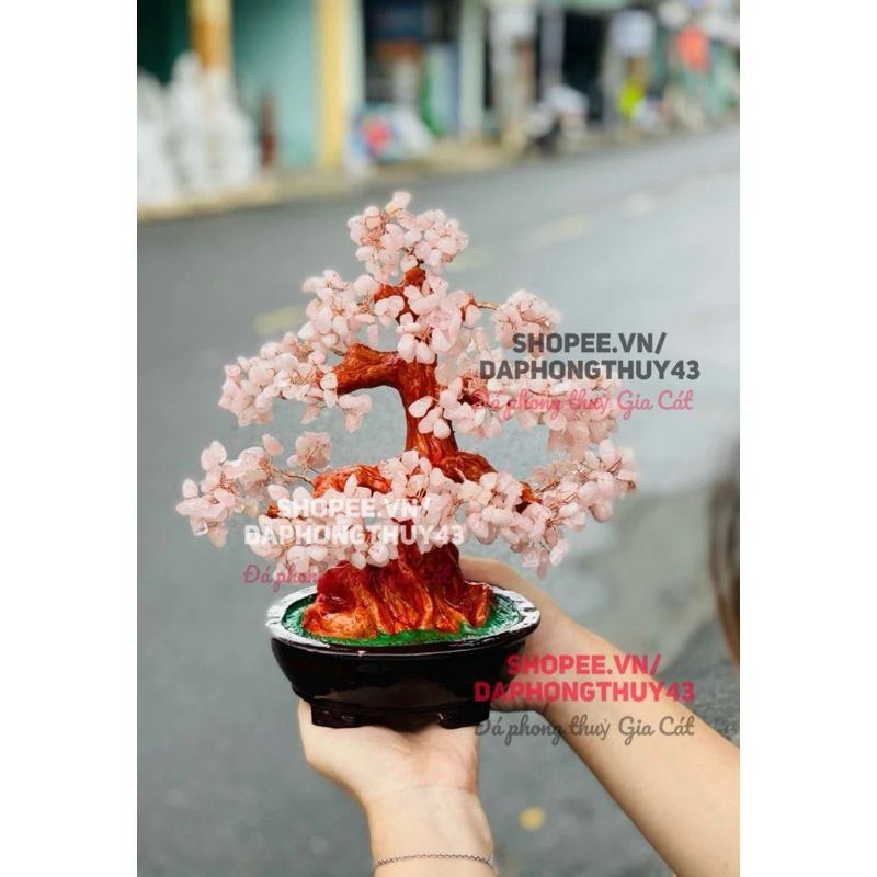 vn-11134207-7r98o-m0agk2z0rc3133