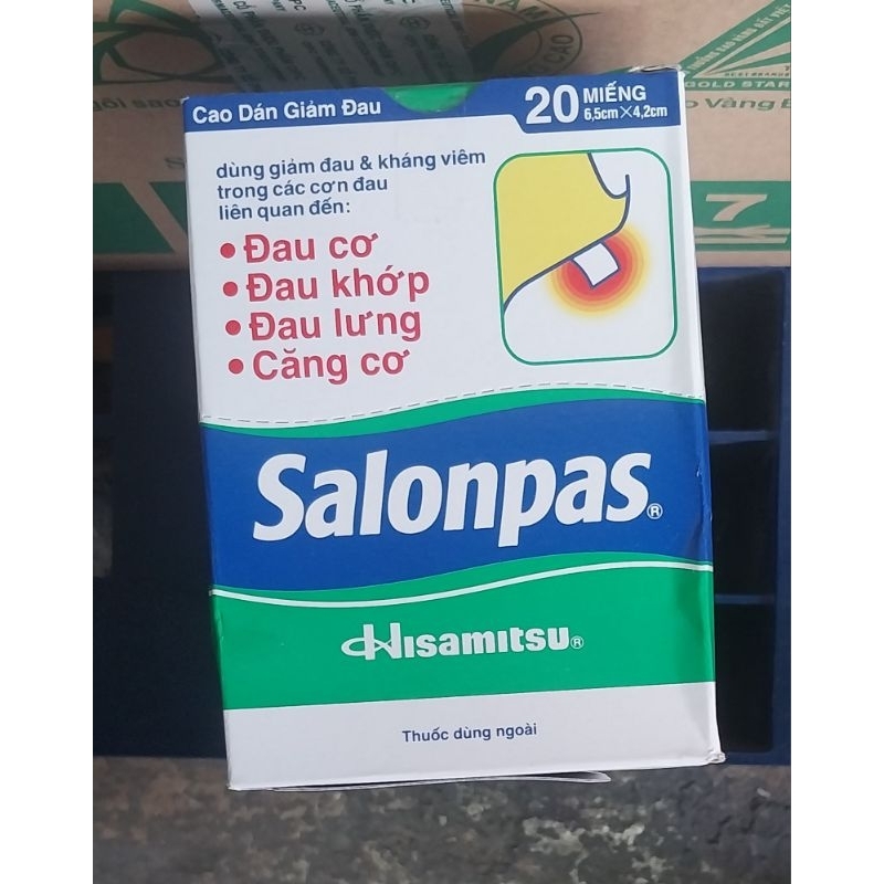 Salonpas box of 20 pieces