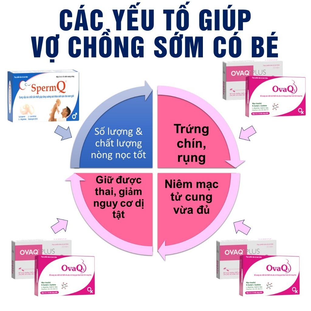 vn-11134207-7r98o-ltxrvc55jvv536