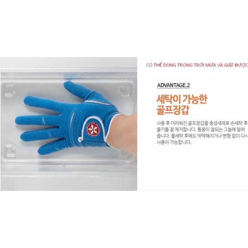 vn-11134201-7qukw-leomei8yw52r55