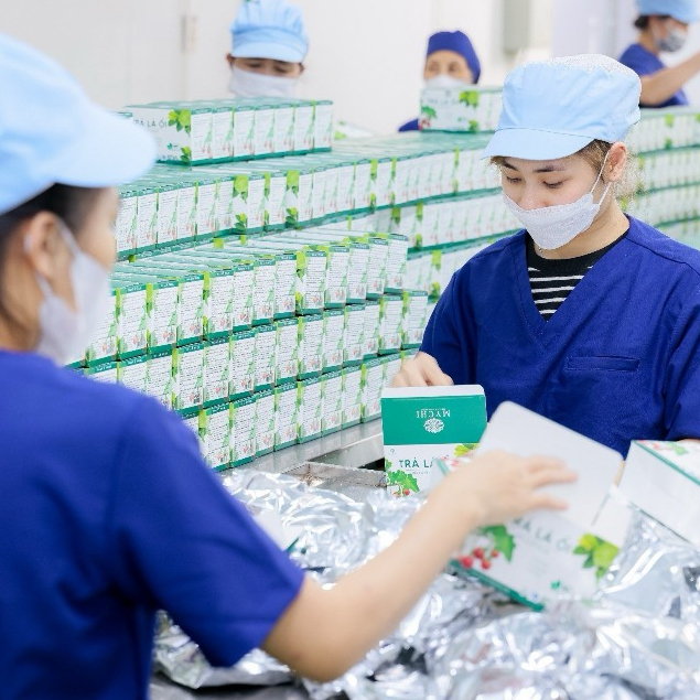 vn-11134207-7r98o-lu7xdpyamnmn56