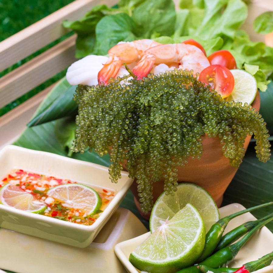 sg-11134201-22090-aquk7e824xhv66