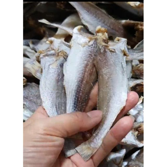 vn-11134207-7qukw-lf51gzonp8y230