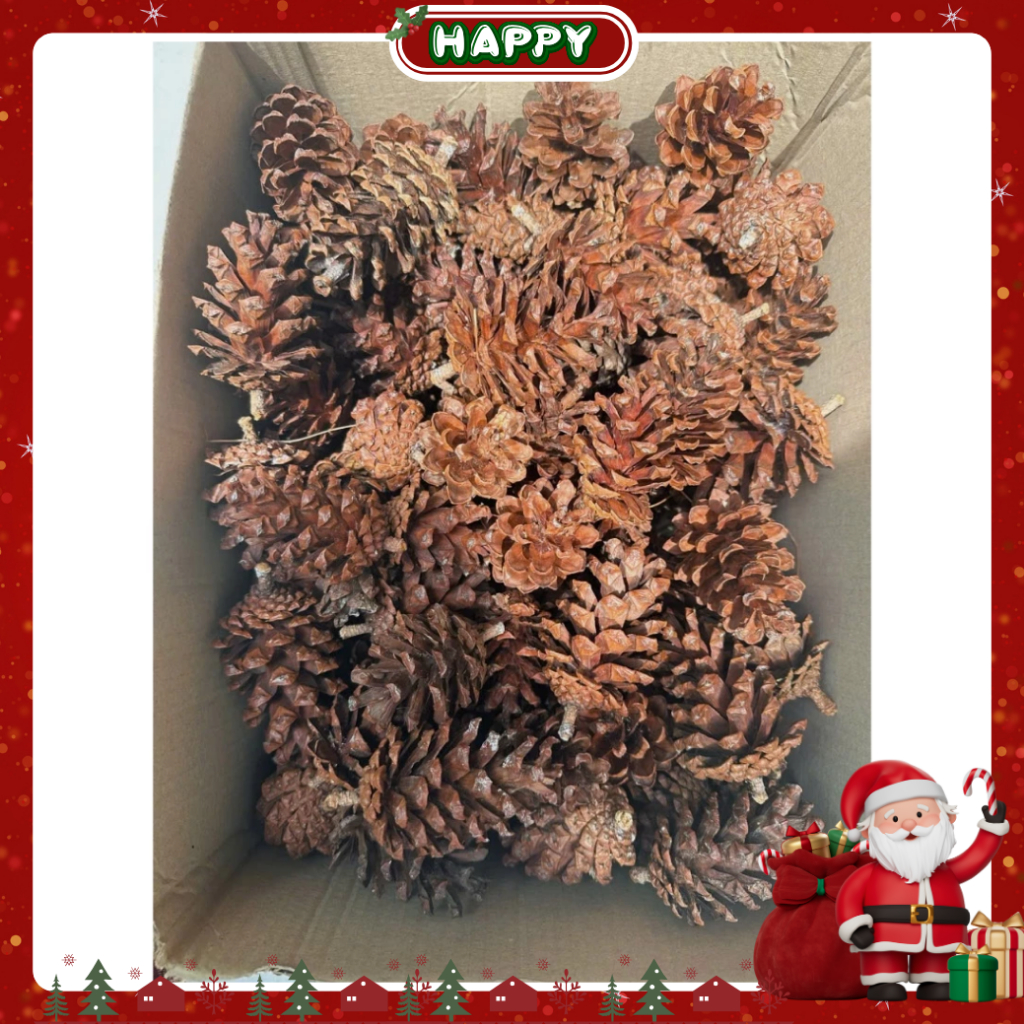 vn-11134207-820l4-mg51ojst53wo35