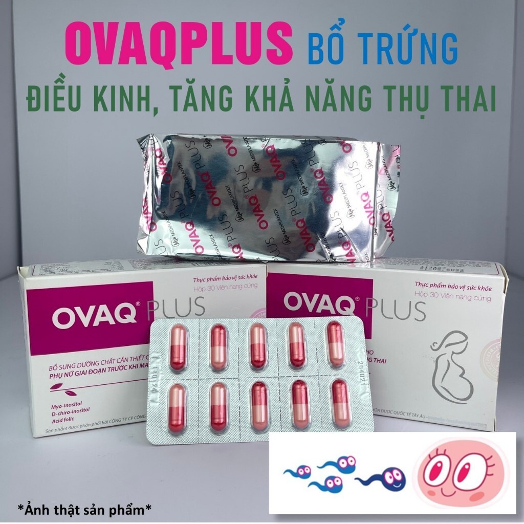 vn-11134207-7r98o-ltxrvc55pi4xee