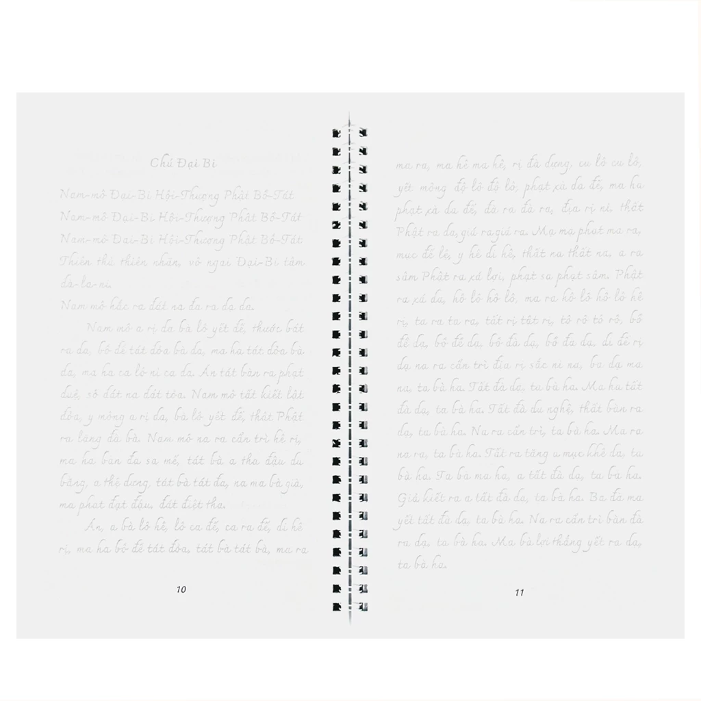 vn-11134207-7r98o-lo6i7uuwxrljcb