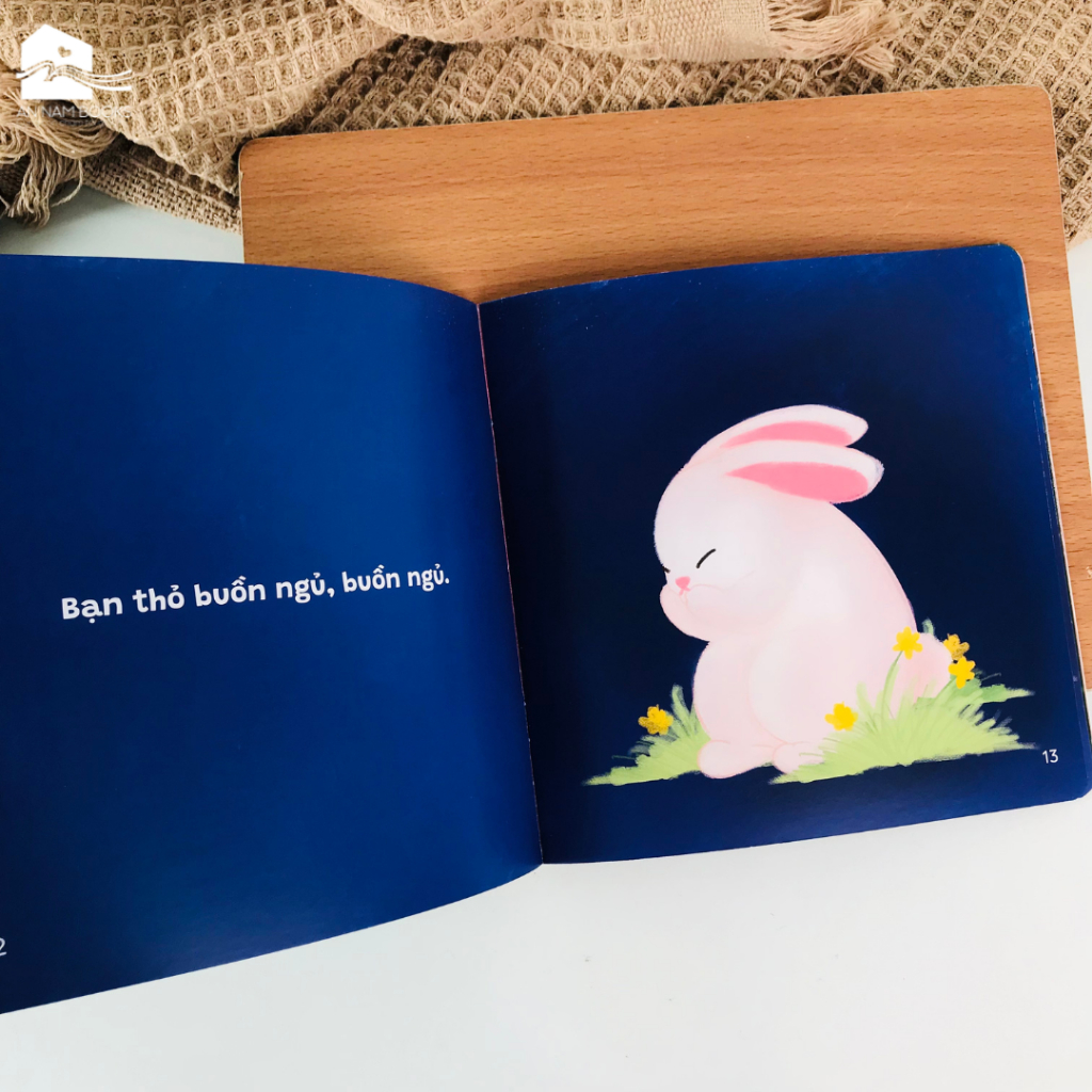 vn-11134207-7r98o-lyyz74vvndxpd2