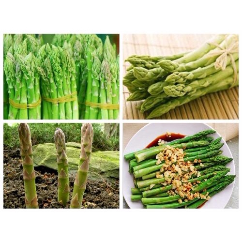 9f6f0c35283adeacb75d5e56431b5c6d