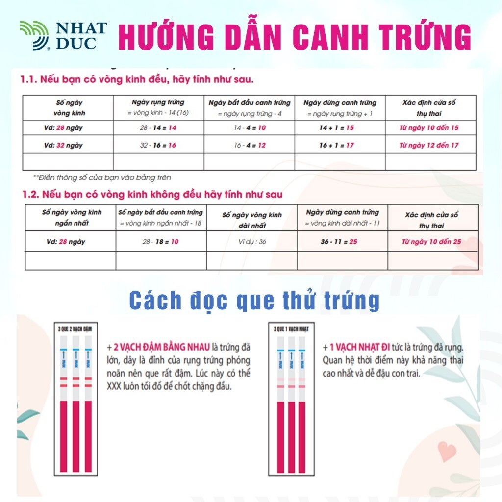 vn-11134207-7r98o-ltxrvc55lafleb