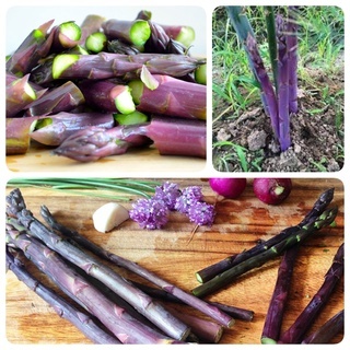 vn-11134207-7r98o-lqafj6ezmbwyde