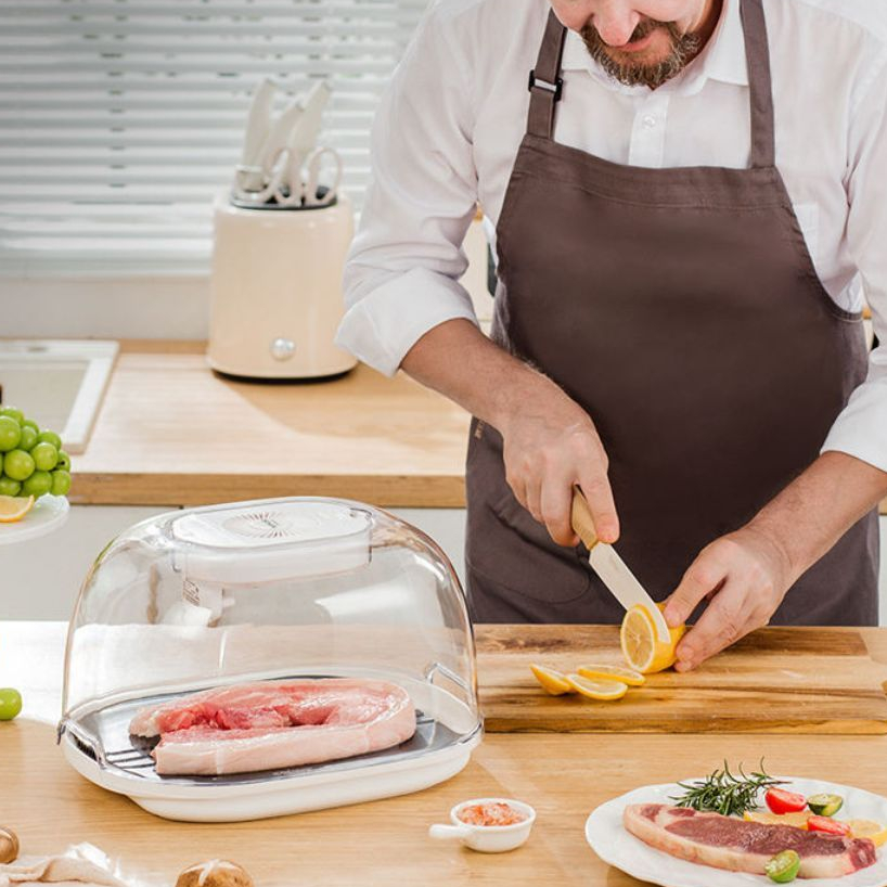 Máy rã đông thực phẩm KACHEEG KAYUSO cao cấp, máy rã đông chạy pin siêu tốc công nghệ ion an toàn cho thực phẩm