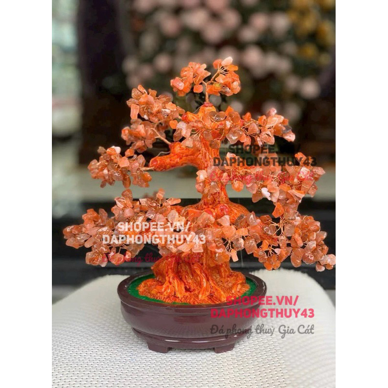 vn-11134207-7r98o-m0agk2z1m8ktaf