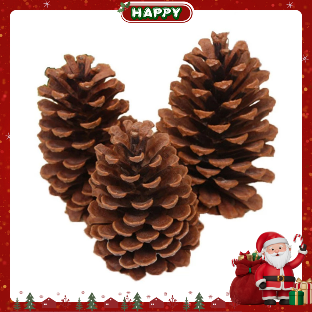 vn-11134207-820l4-mg51ojsi4zrjb6