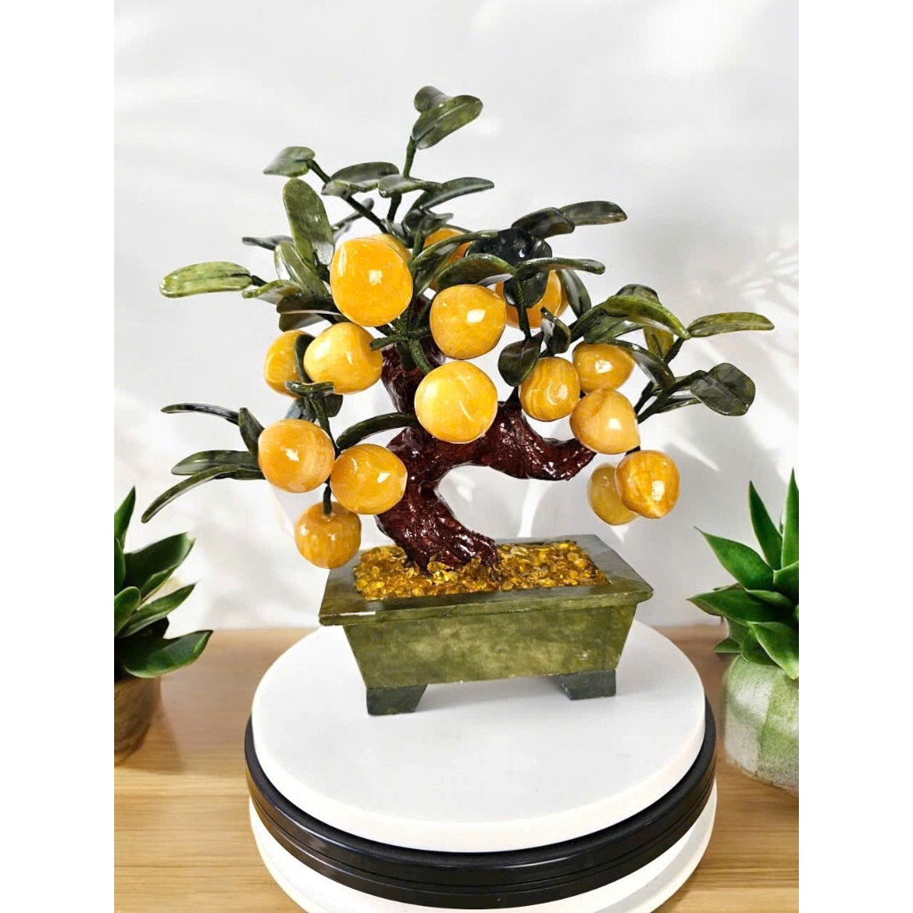 vn-11134207-7r98o-lzhihfnrieu9a9