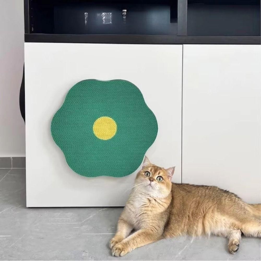 sg-11134201-7rbkw-m64ew7rqw8gud6