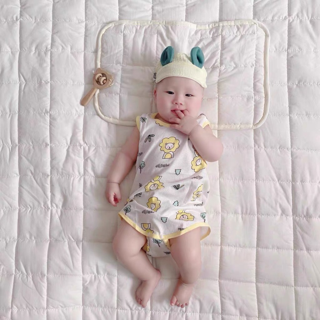 vn-11134207-7r98o-luhccfgbxkpxb1