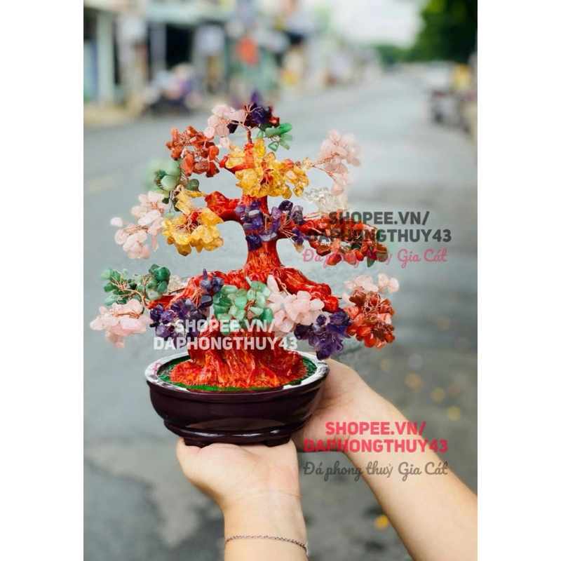 vn-11134207-7r98o-m0agk2z0bvu525