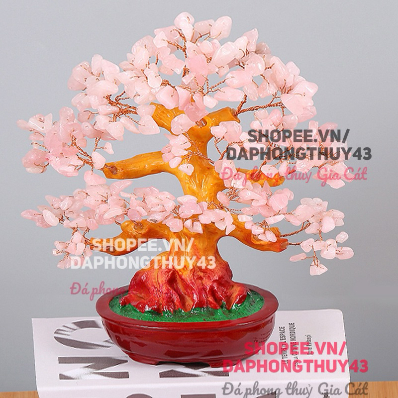 vn-11134207-7r98o-m0agk2z0bw5rd4