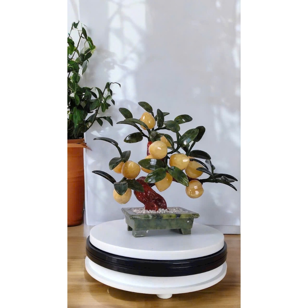 vn-11134207-7r98o-lzhihf06gxb5bf