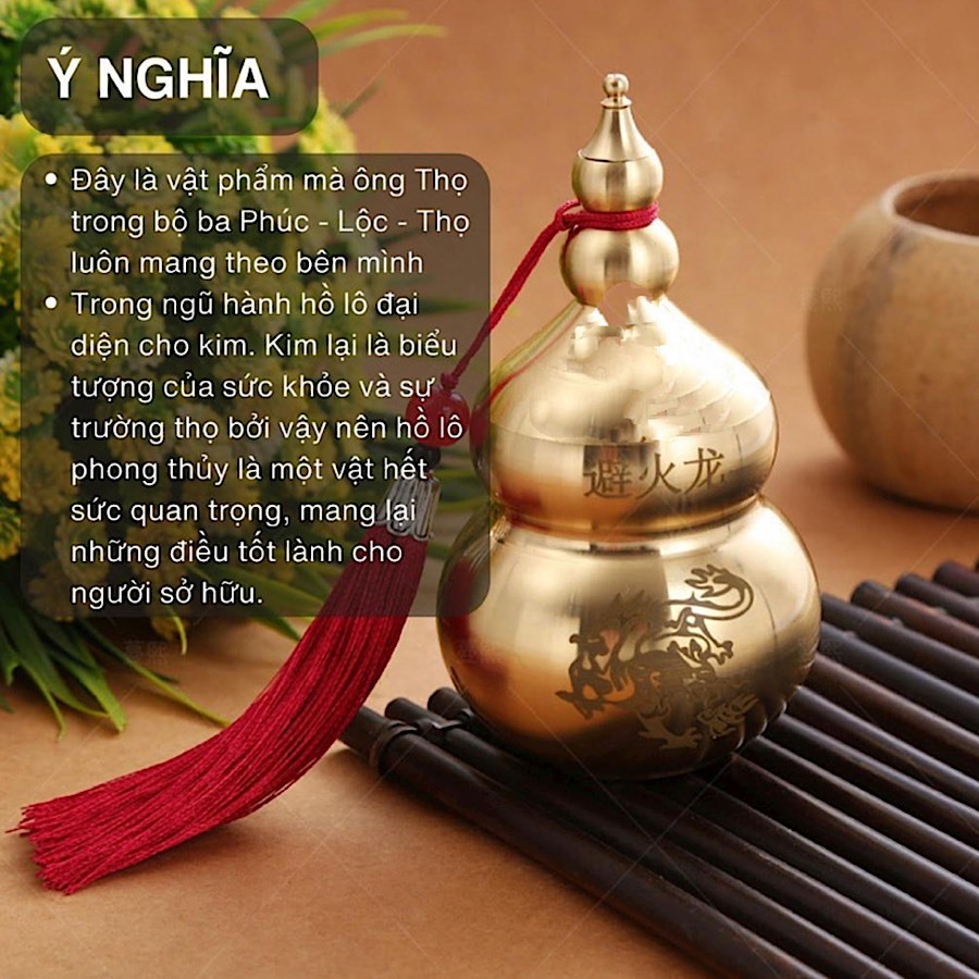 vn-11134207-7r98o-lssbqy5x90p08e