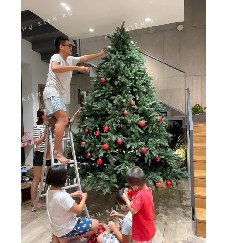 vn-11134207-7ras8-m3d9s65xvv0c81