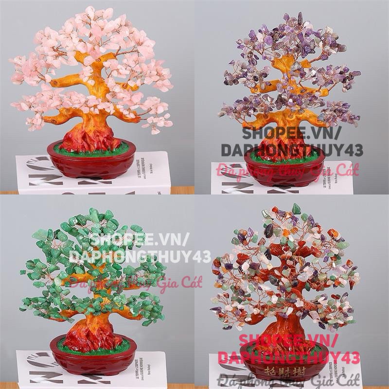The wealthy tree of the feng shui canopy display 30 cm of testing