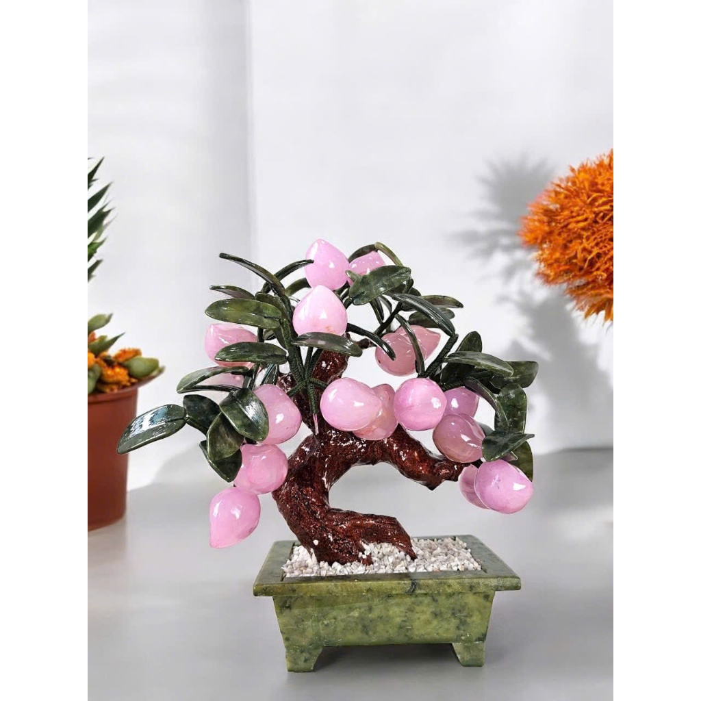 vn-11134207-7r98o-lzhihfihq4b19f